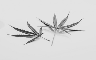 Лечение наркомании в Спасске-Дальнем